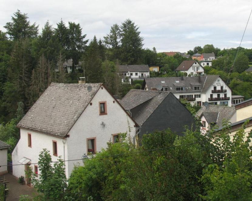 Apartament Um Die Ecke Manderscheid Zewnętrze zdjęcie